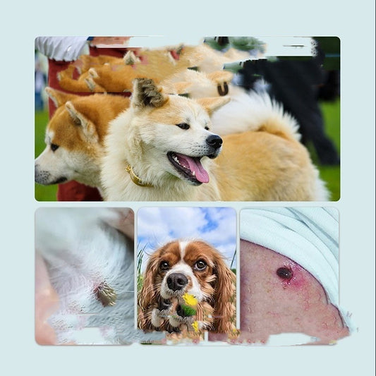 Flea Tick Tick Tick Collar